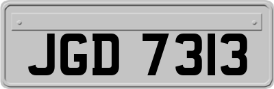 JGD7313