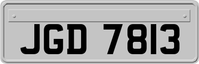 JGD7813