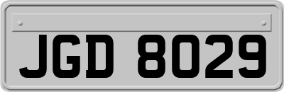 JGD8029