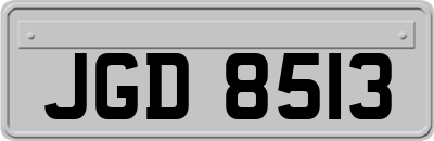 JGD8513