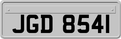 JGD8541