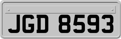 JGD8593