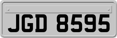 JGD8595