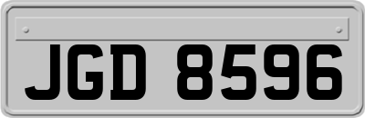 JGD8596
