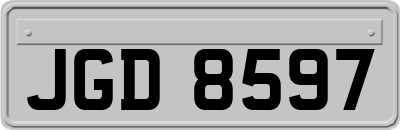JGD8597