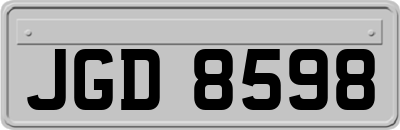 JGD8598