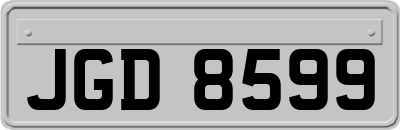 JGD8599