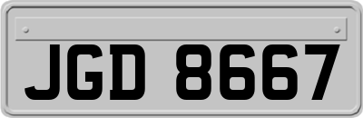 JGD8667