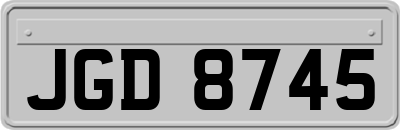 JGD8745