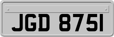 JGD8751