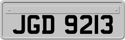 JGD9213