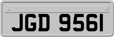 JGD9561