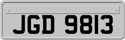 JGD9813