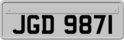 JGD9871