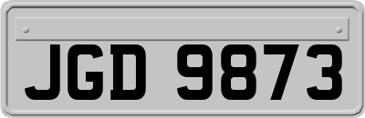 JGD9873