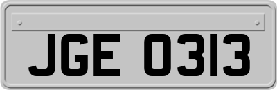 JGE0313