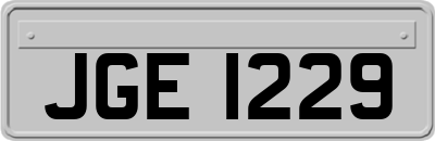 JGE1229