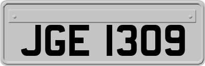 JGE1309