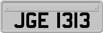 JGE1313