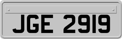 JGE2919