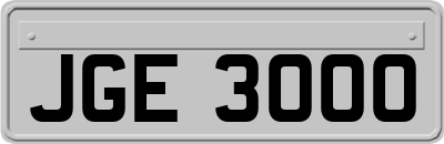 JGE3000