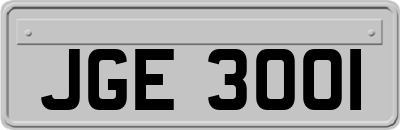 JGE3001