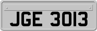JGE3013
