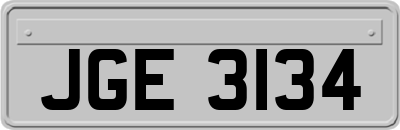 JGE3134