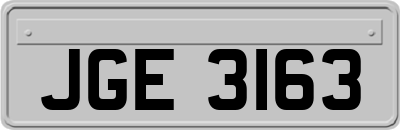 JGE3163