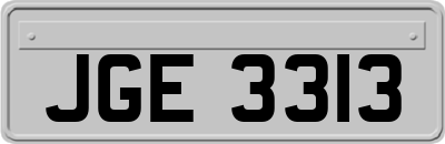 JGE3313