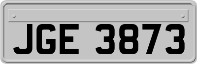 JGE3873