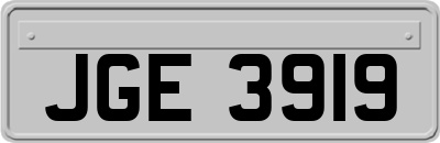 JGE3919