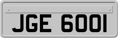 JGE6001