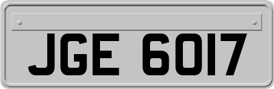JGE6017