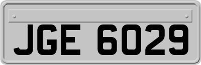 JGE6029