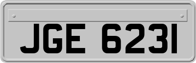 JGE6231