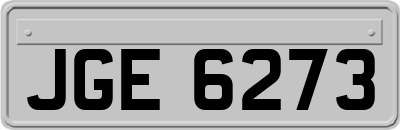 JGE6273