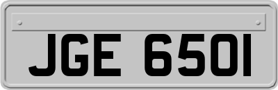 JGE6501
