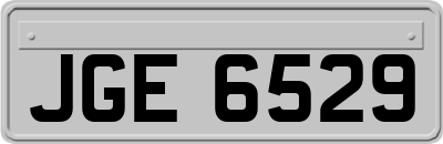 JGE6529