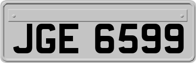 JGE6599