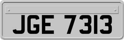 JGE7313