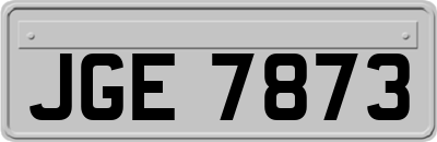 JGE7873