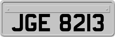 JGE8213