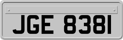 JGE8381