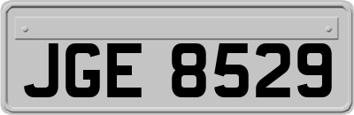 JGE8529
