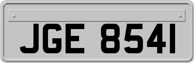 JGE8541