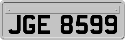 JGE8599