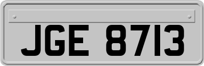 JGE8713