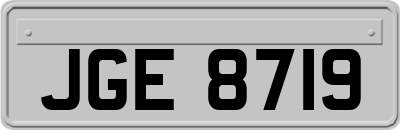 JGE8719