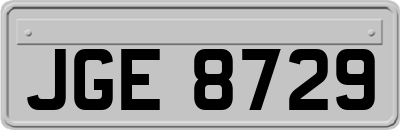 JGE8729